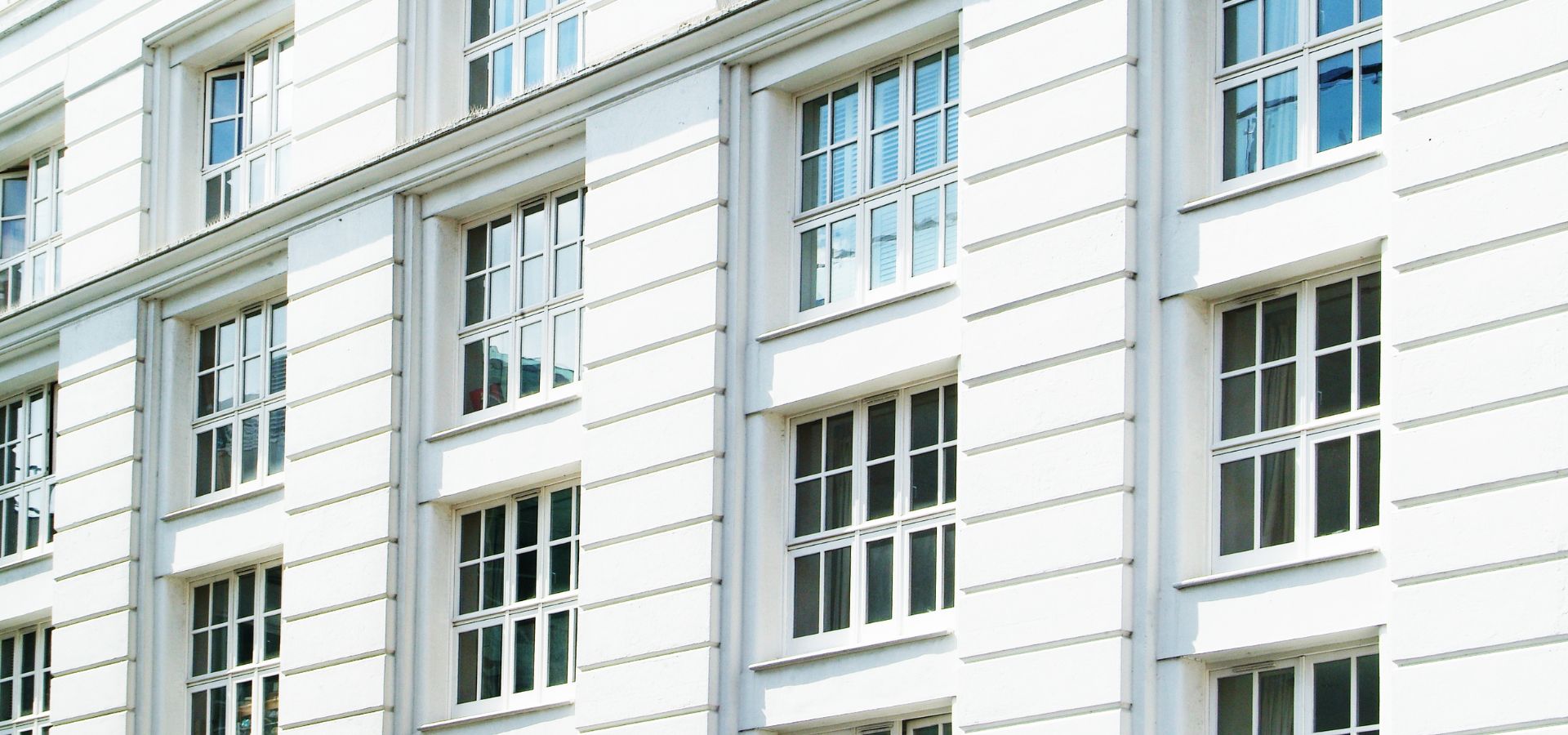 Professional Cleaners